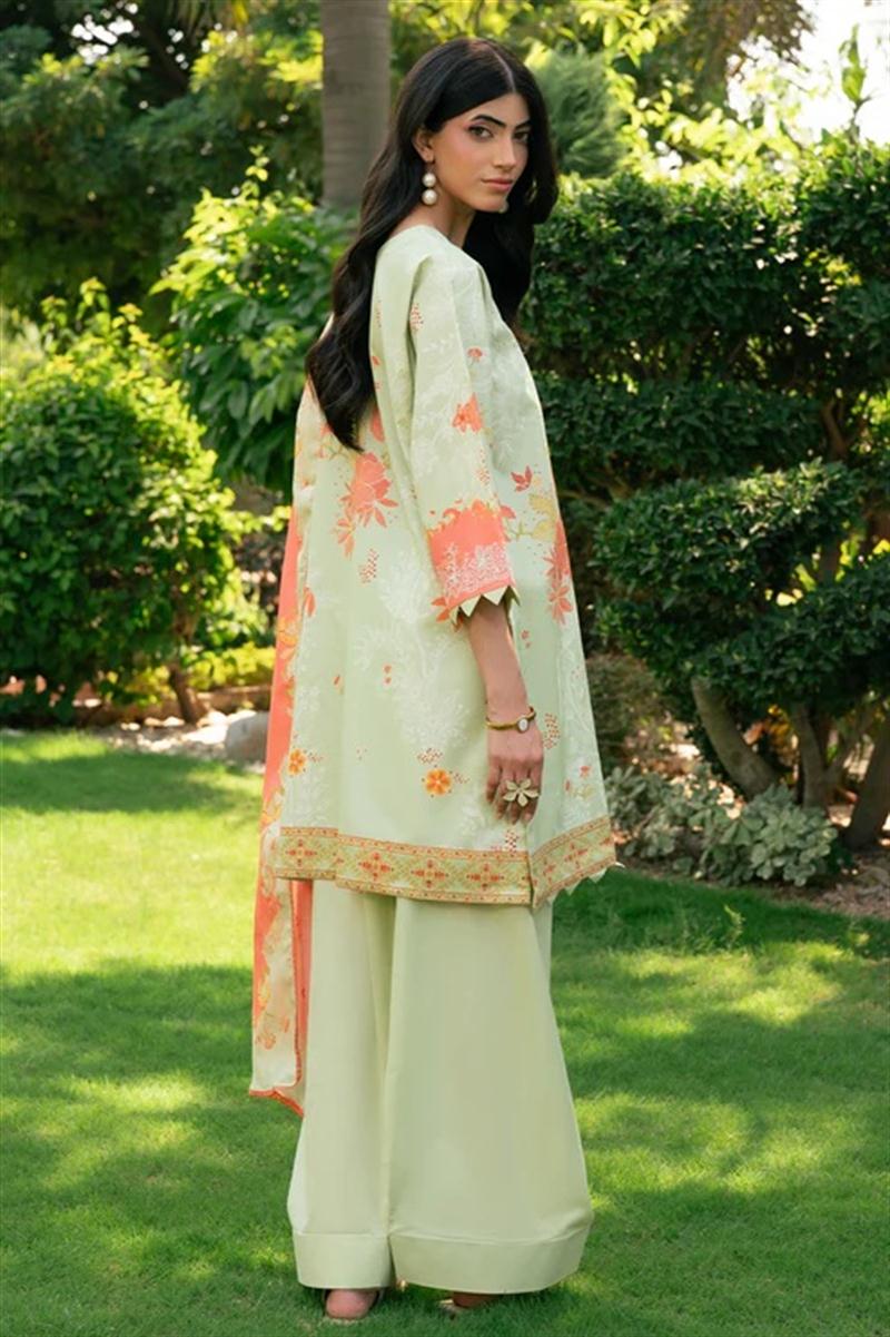 SH-RASHID-0101