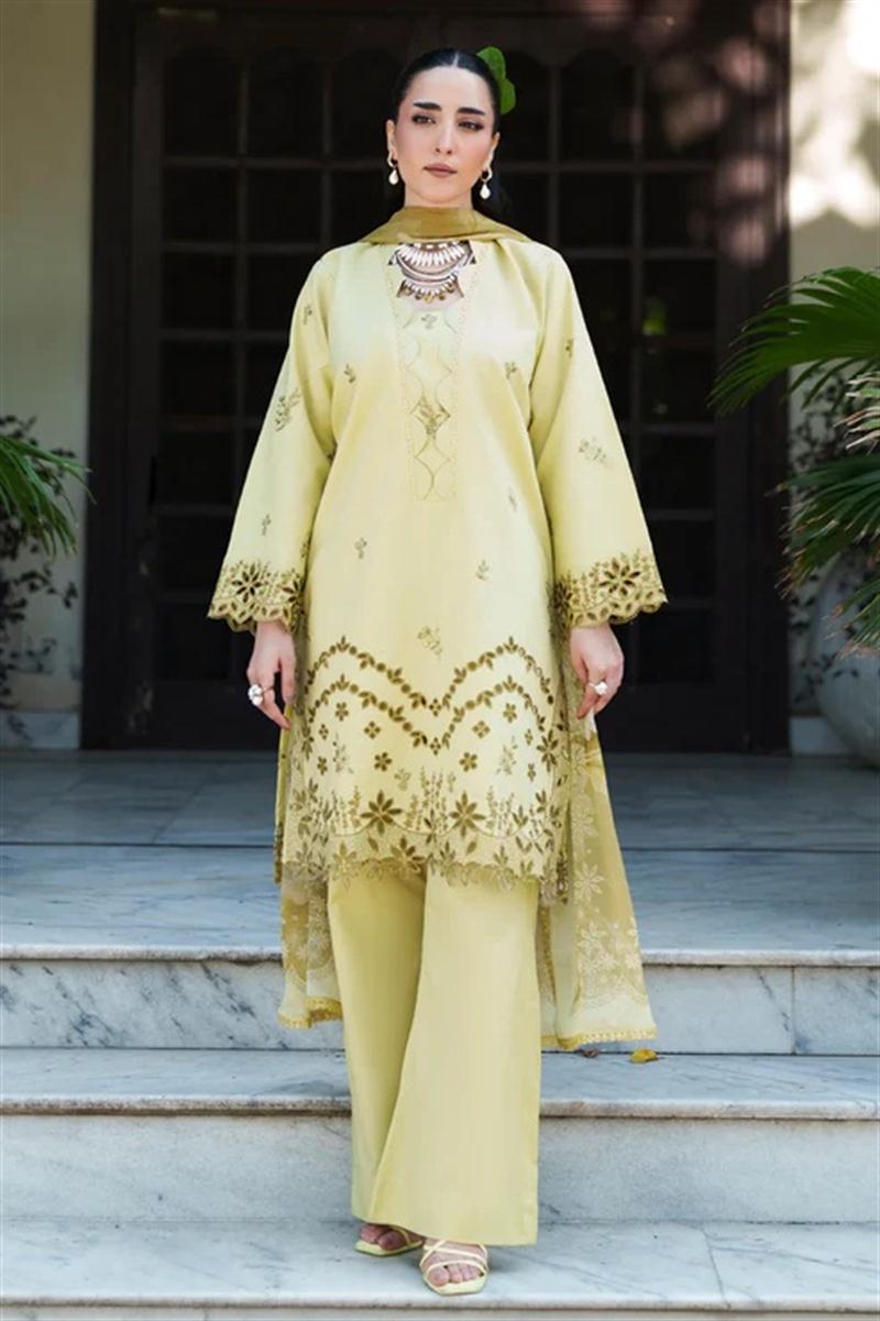 SH-RASHID-097